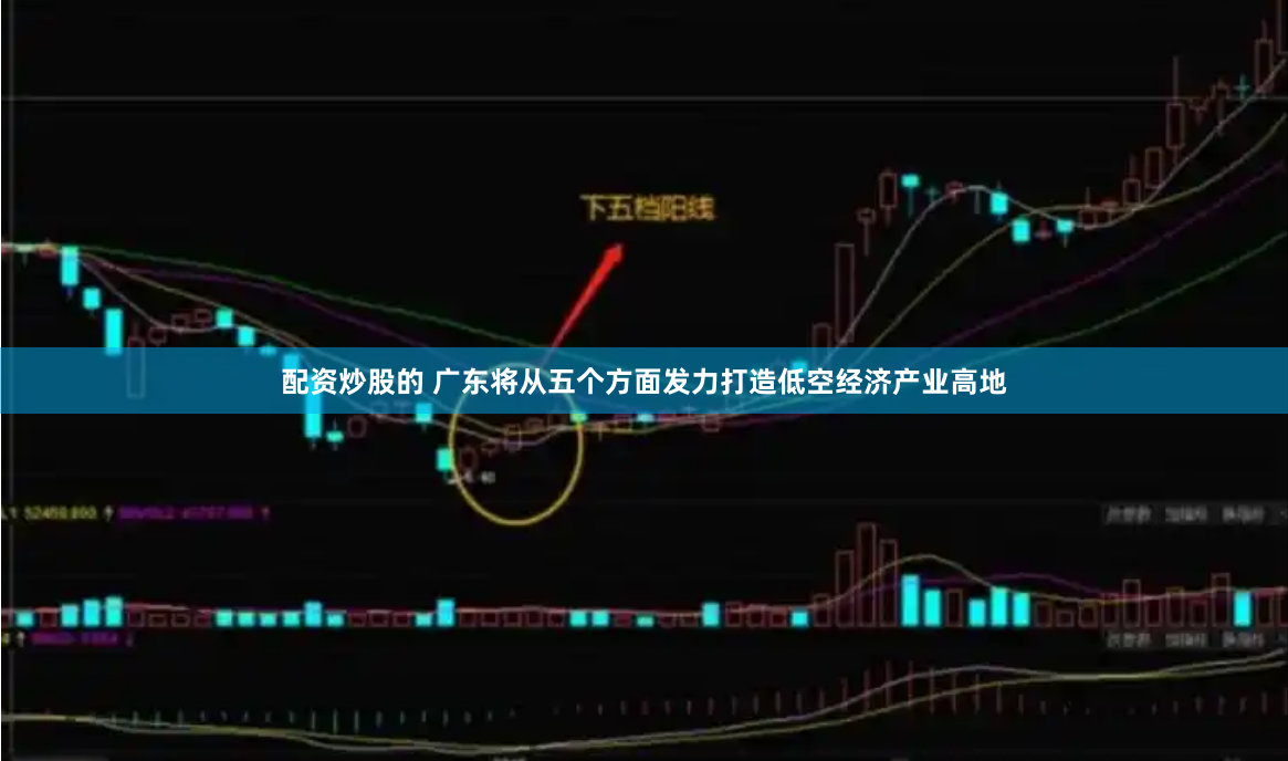 配资炒股的 广东将从五个方面发力打造低空经济产业高地