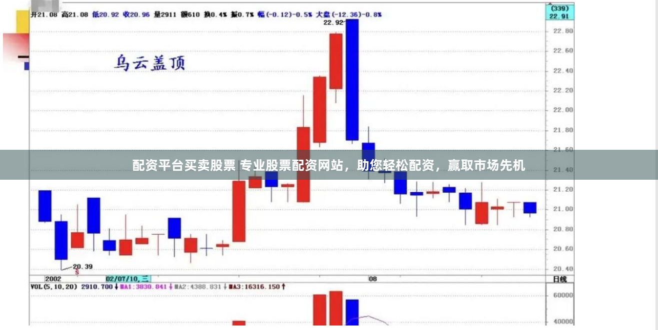 配资平台买卖股票 专业股票配资网站，助您轻松配资，赢取市场先机