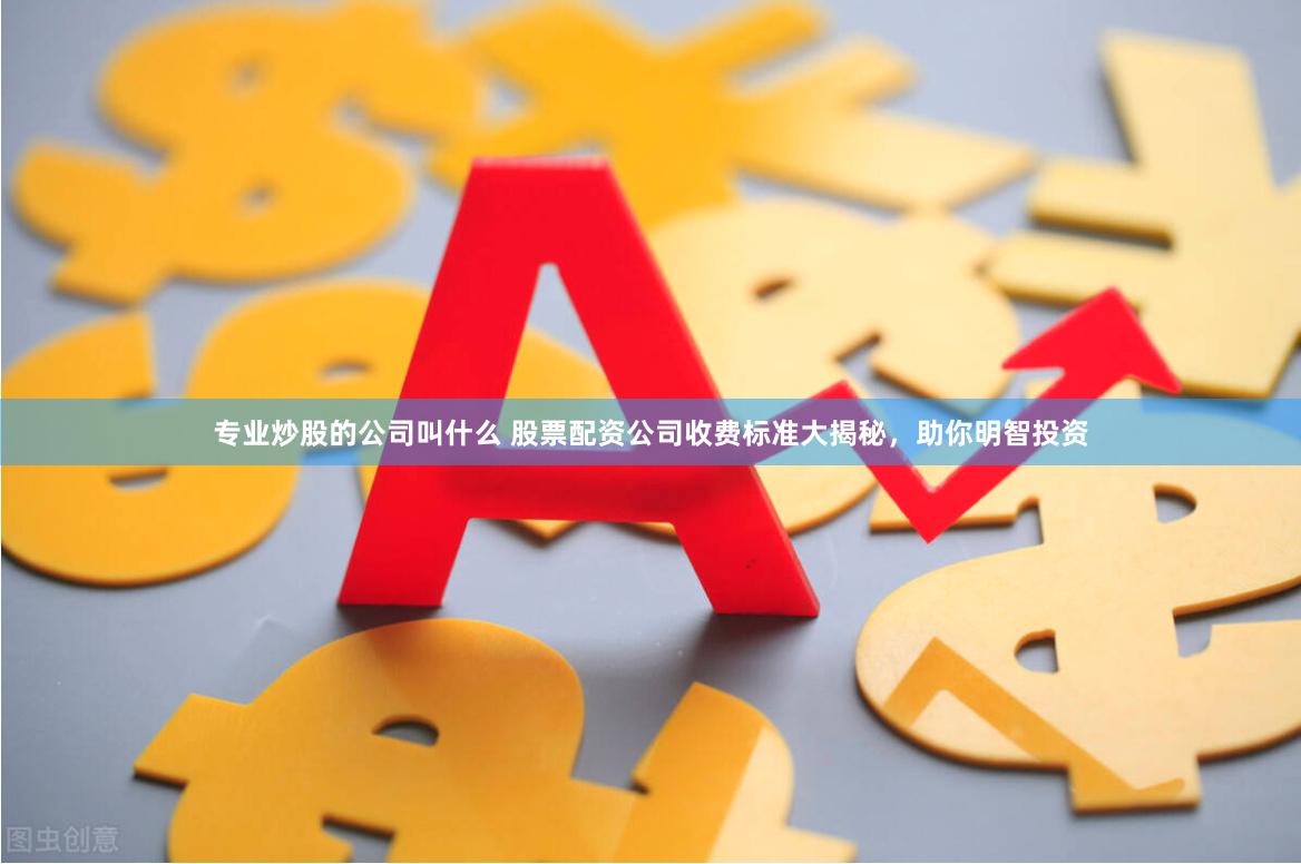 专业炒股的公司叫什么 股票配资公司收费标准大揭秘，助你明智投资