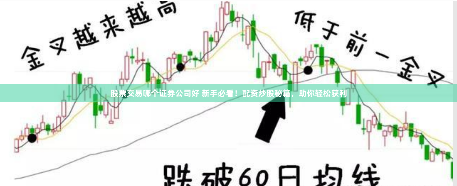 股票交易哪个证券公司好 新手必看！配资炒股秘籍，助你轻松获利