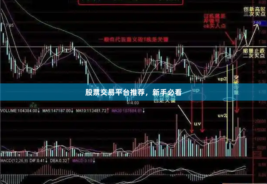 股票交易平台推荐，新手必看