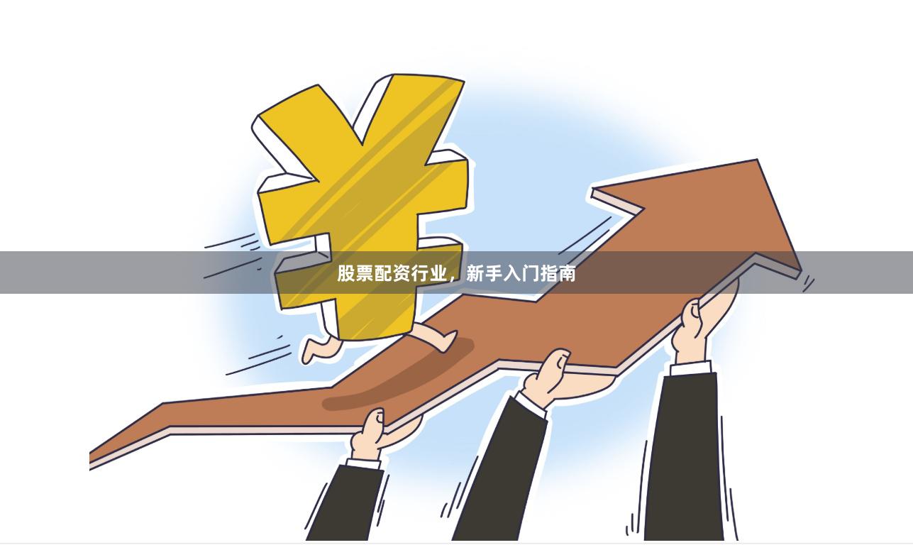 股票配资行业，新手入门指南