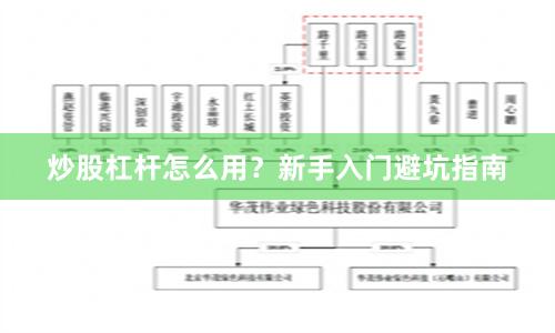 炒股杠杆怎么用？新手入门避坑指南